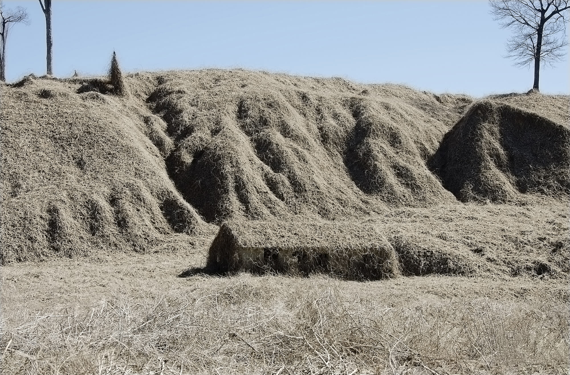 Valley of Dry Bones