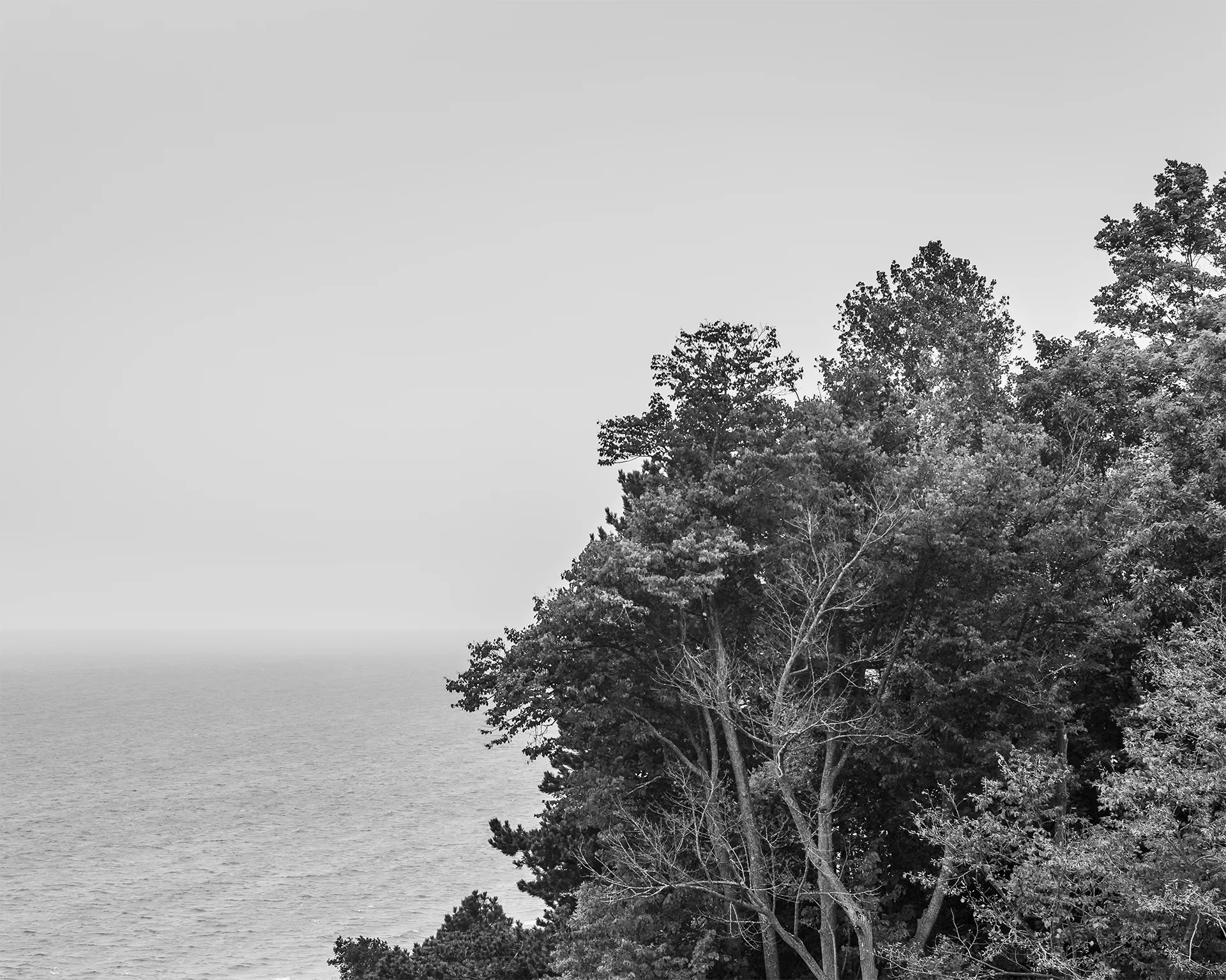 _IGP1072 as Smart Object-1 copy.jpg