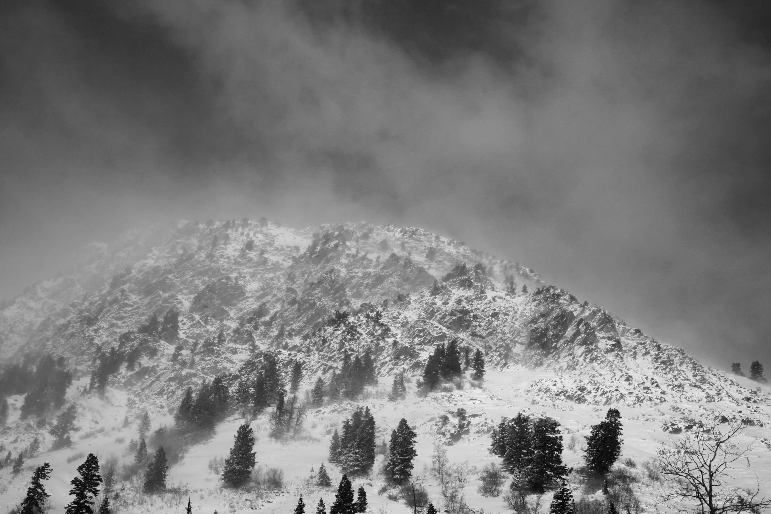Snowbird, 2007