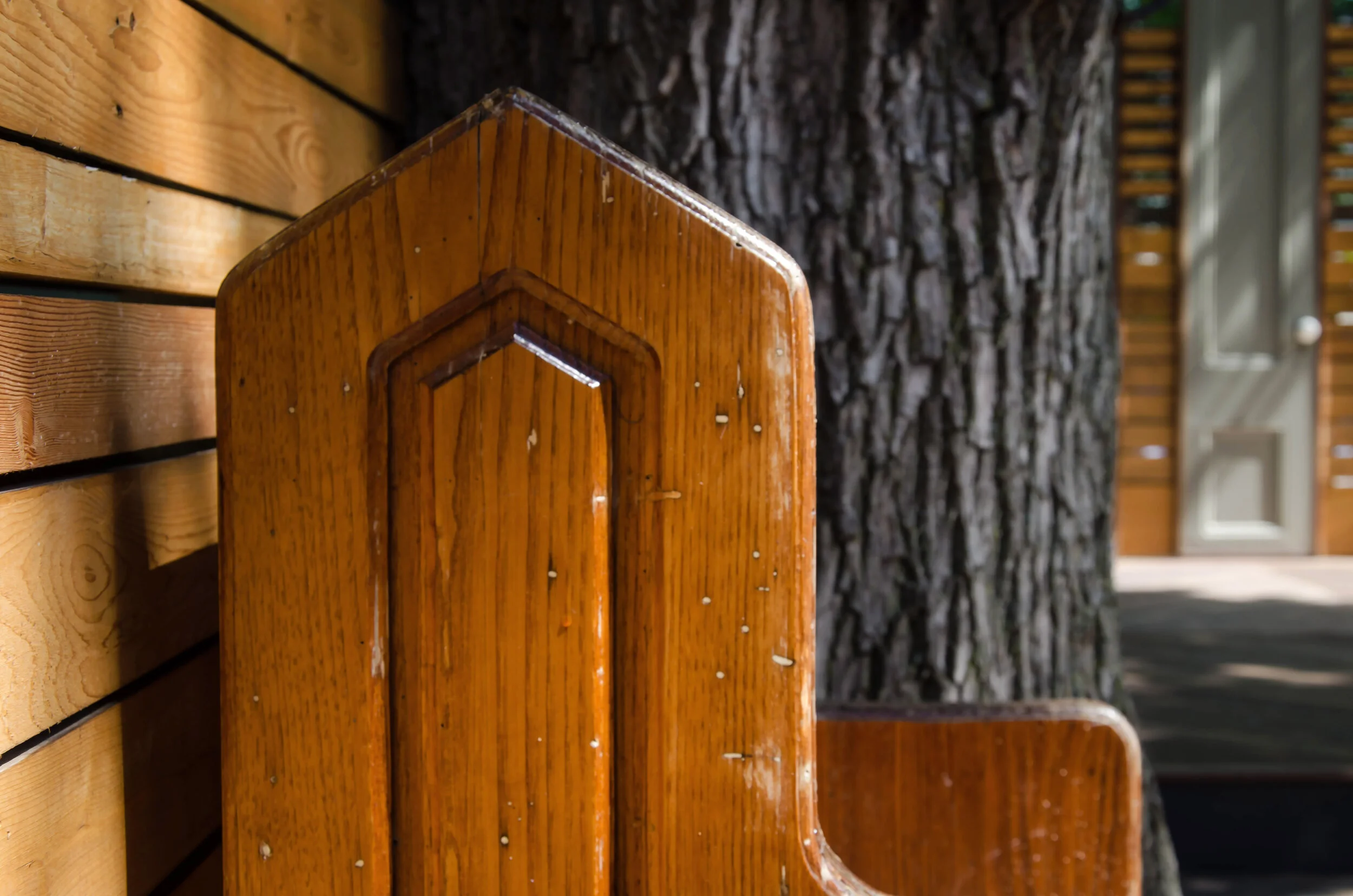 Backyard-5.jpg