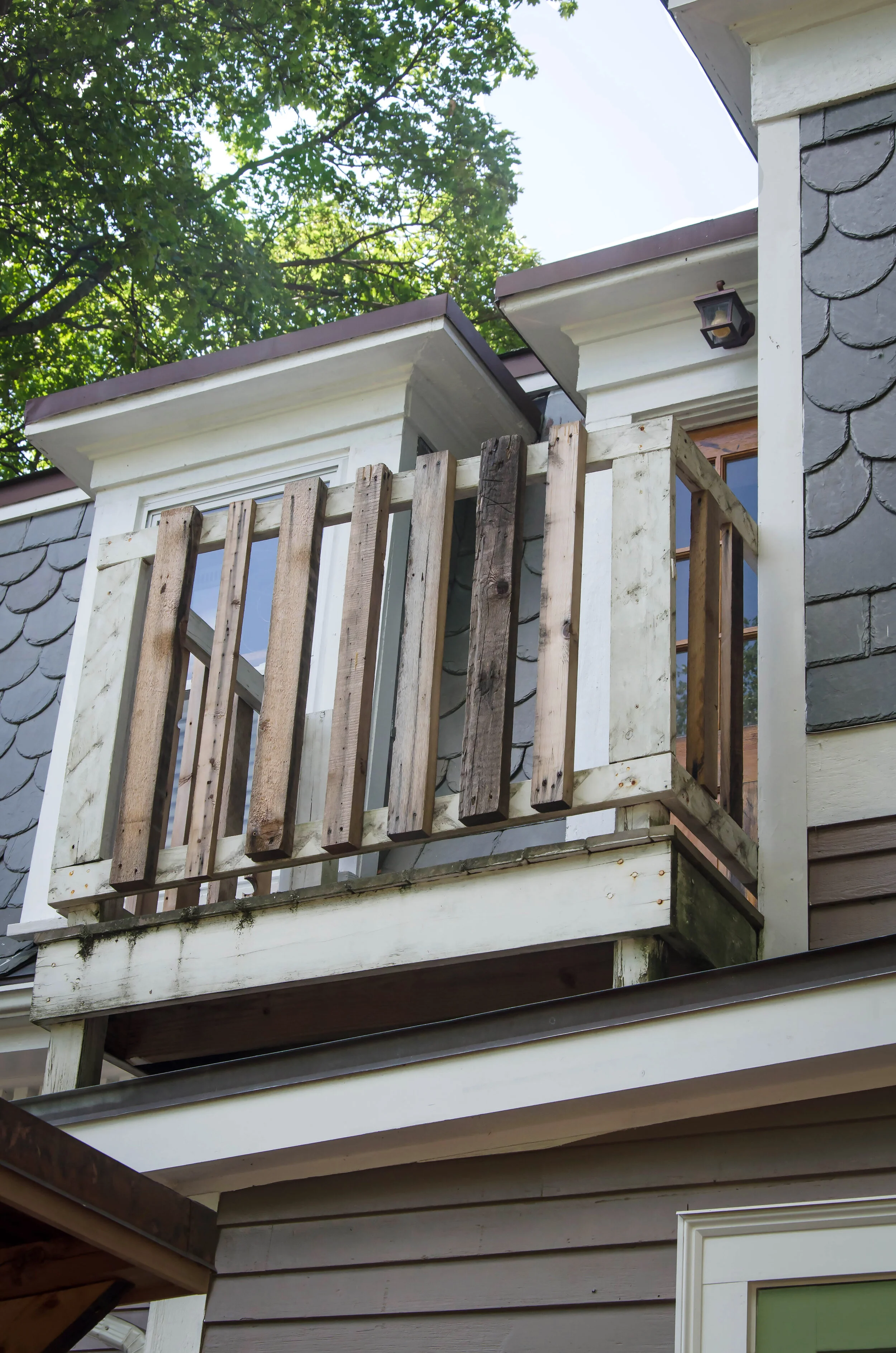 Backyard-43.jpg