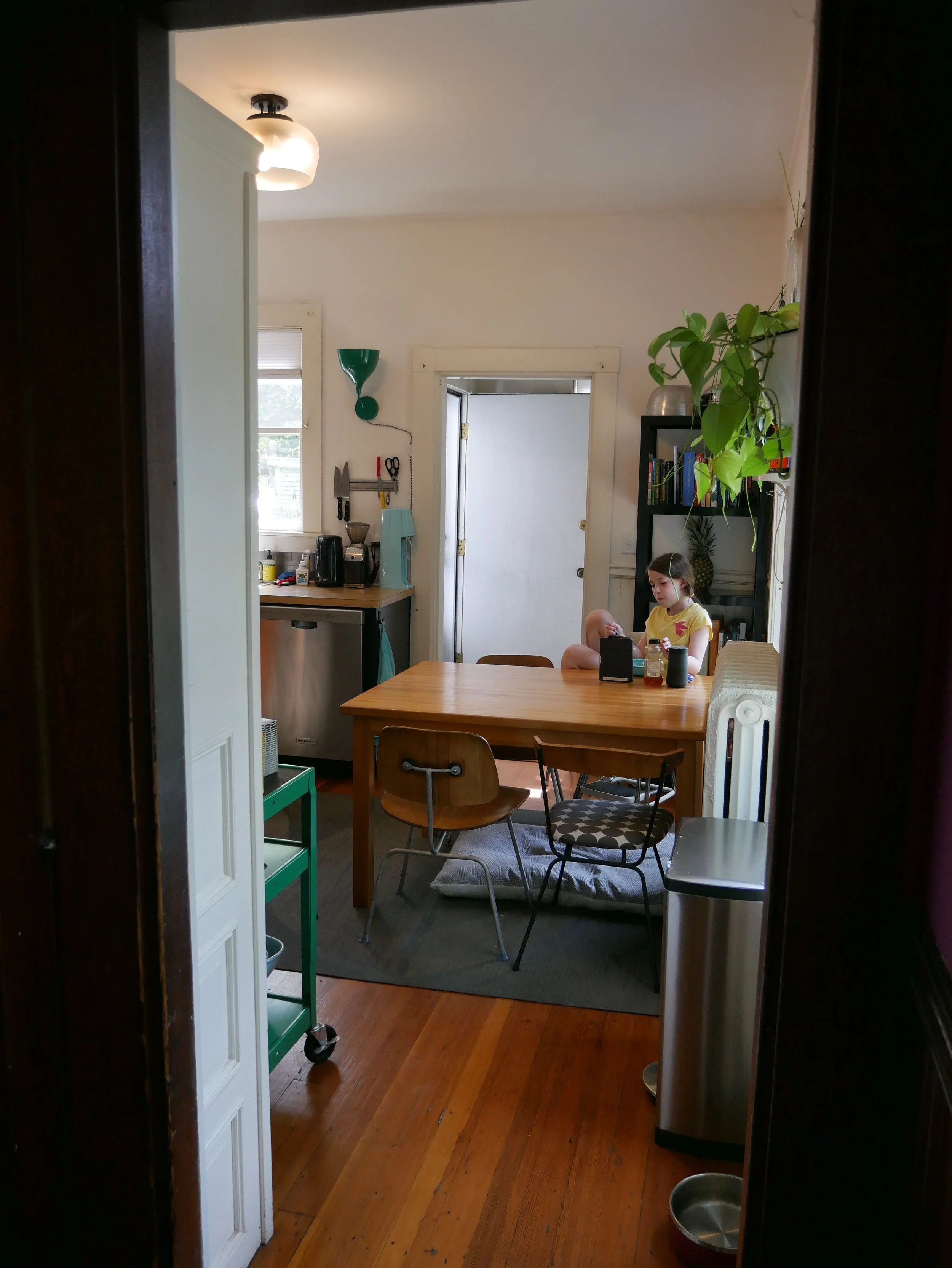 Pre-Demo: The homeowners were SO ready for this renovation!