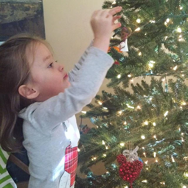 Hattie had a ball putting ornaments on the tree. She described each one in detail before she hung it up. #Christmasovergram #latergram