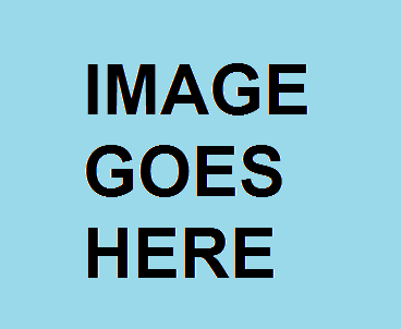 imagegoeshere.png