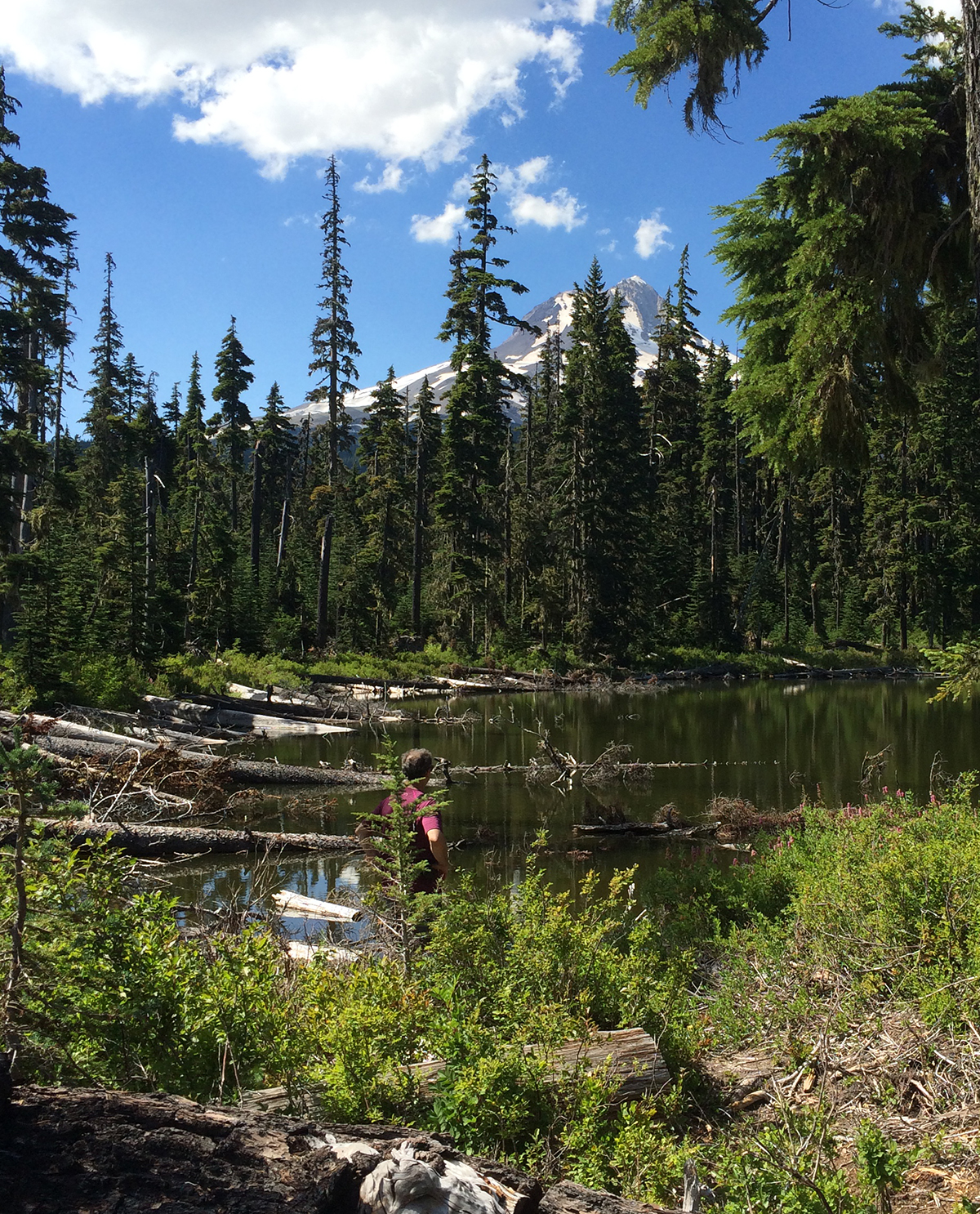 And the smell of the Douglas fir forest on Mt Hood is heavenly (Teacup Lake, not the elusive Boulder Lake which remains elusive)