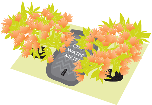 For a City of Portland brochure