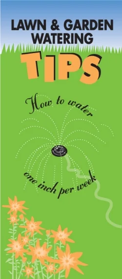 Summer Watering Brochure