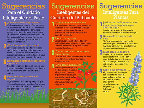 Spanish Water Conservation Brochure