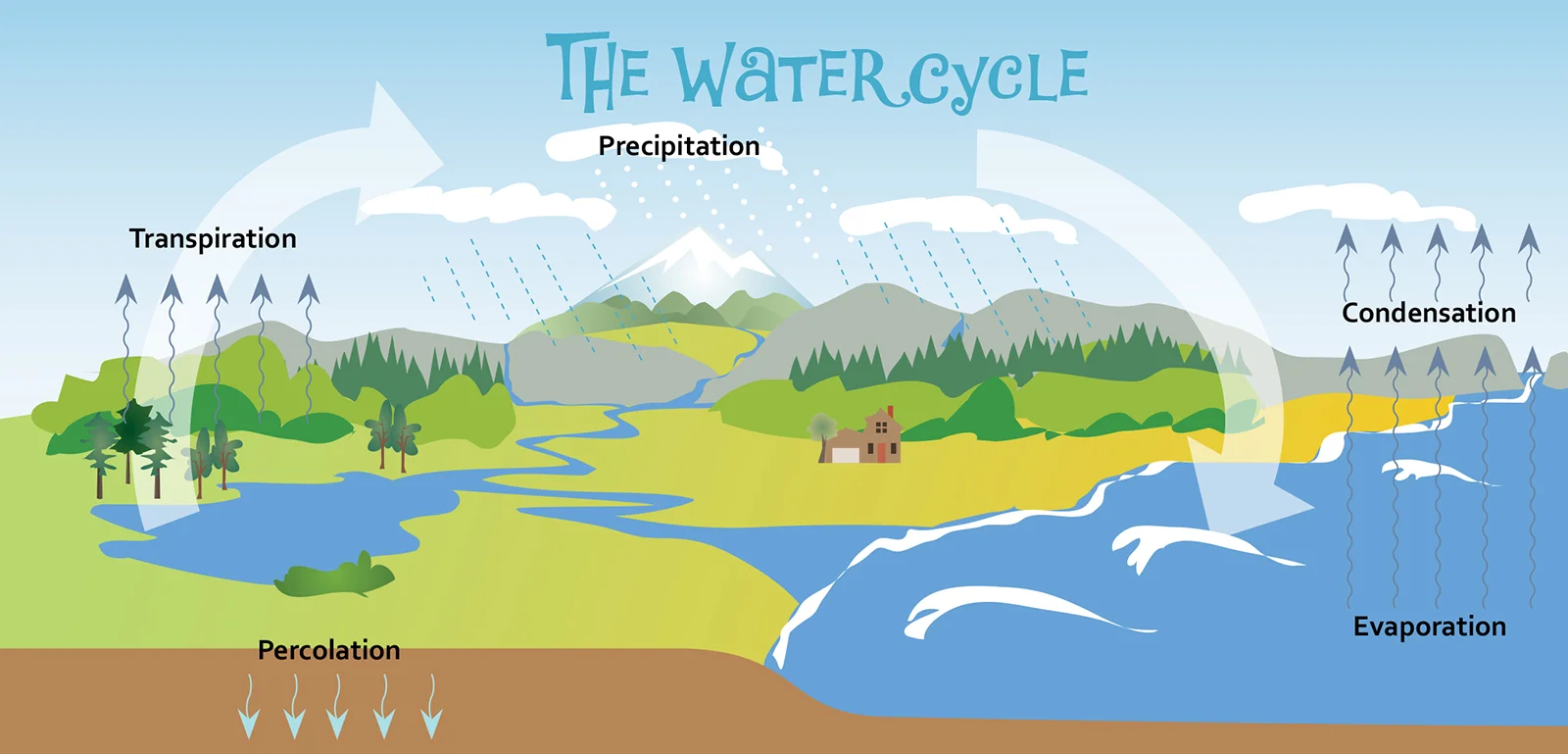 The Water Cycle