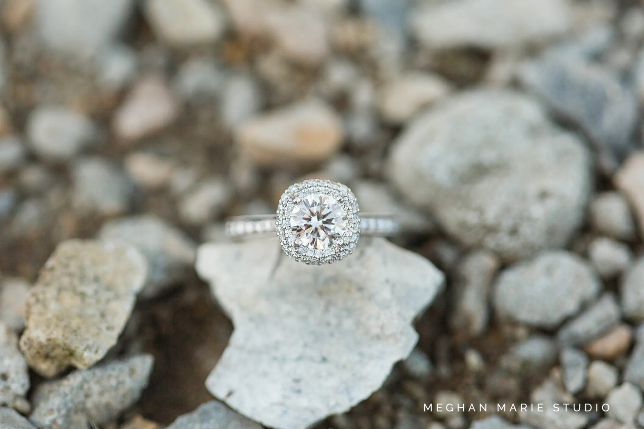 aaron-shelbie-MeghanMarieStudio-FB-4804.jpg