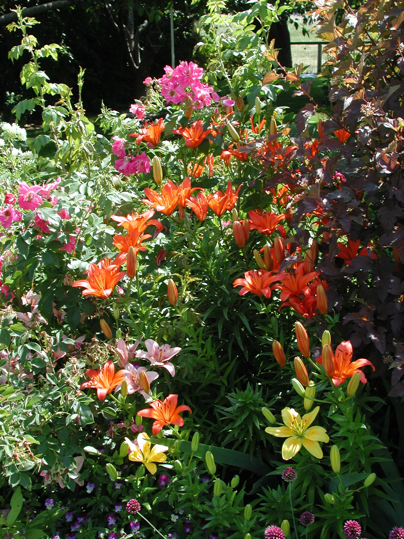 I love gardening!