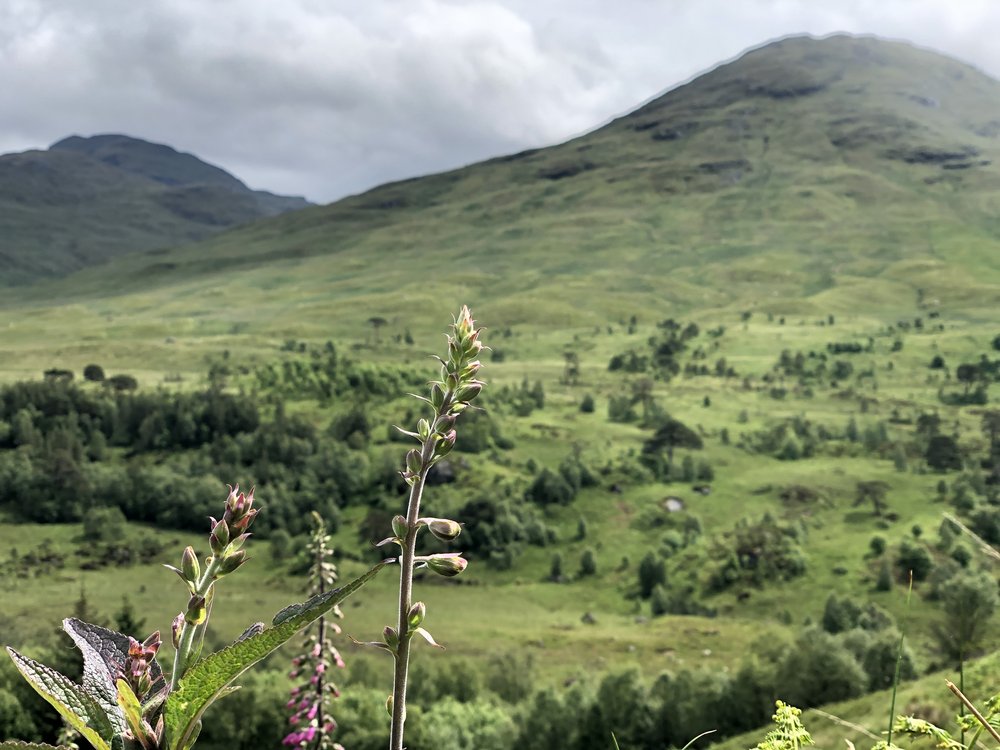 Glen Falloch