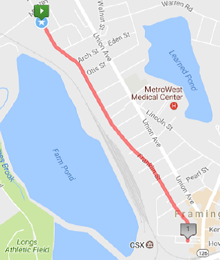 Mural Mile | 438 Franklin St to 42 Franklin St