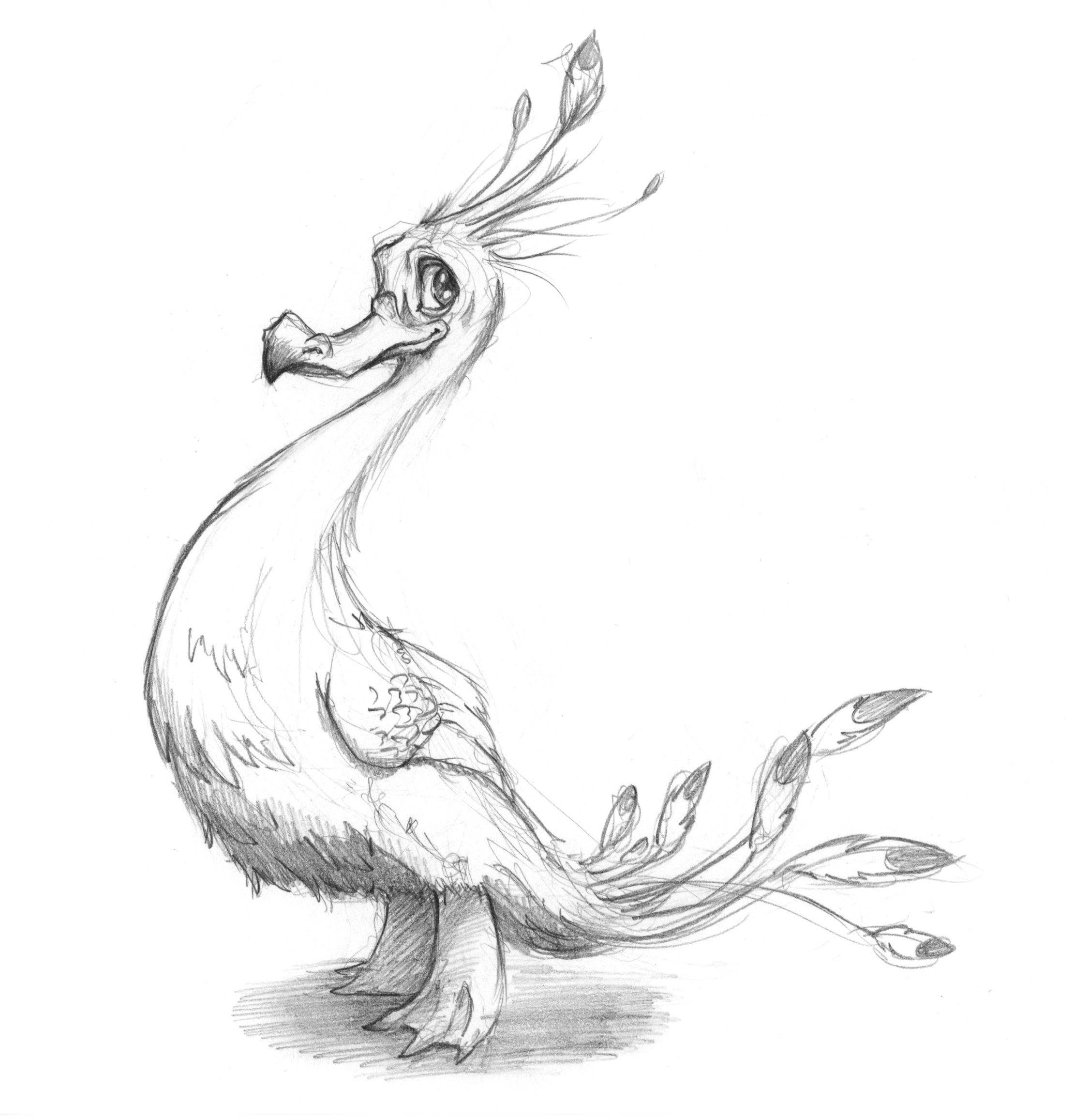 Duckfooted quail.png