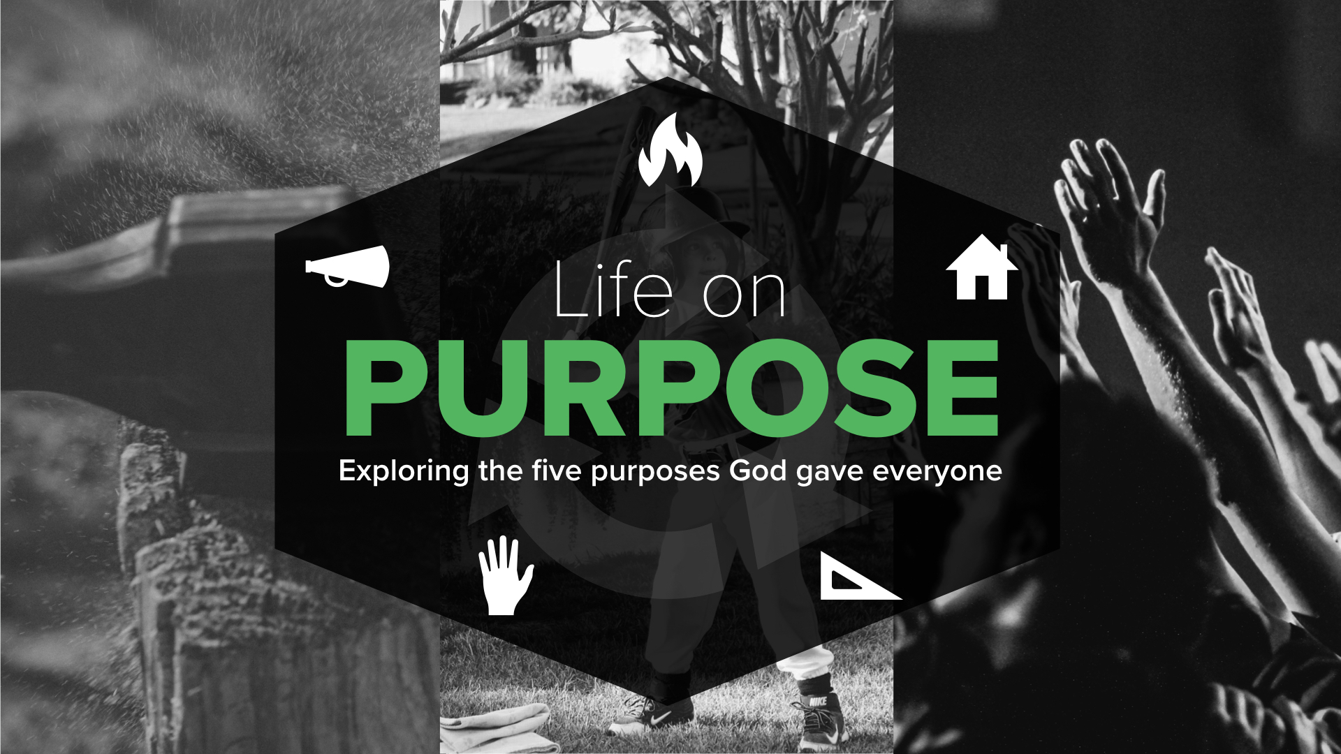 Life on Purpose graphic.001.jpeg