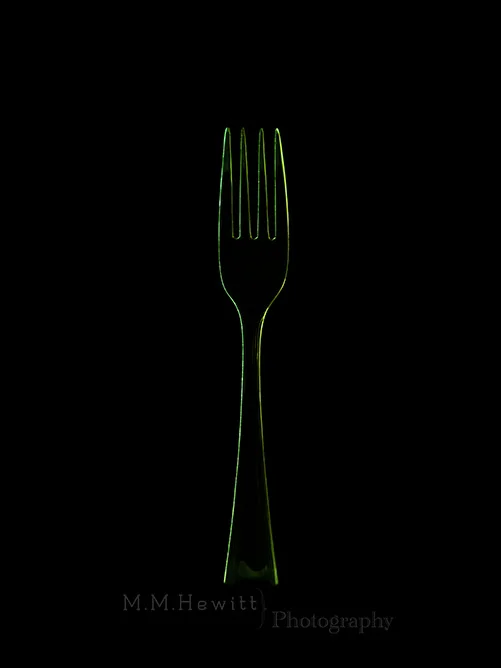 Fork | (c)M.M.Hewitt 2014