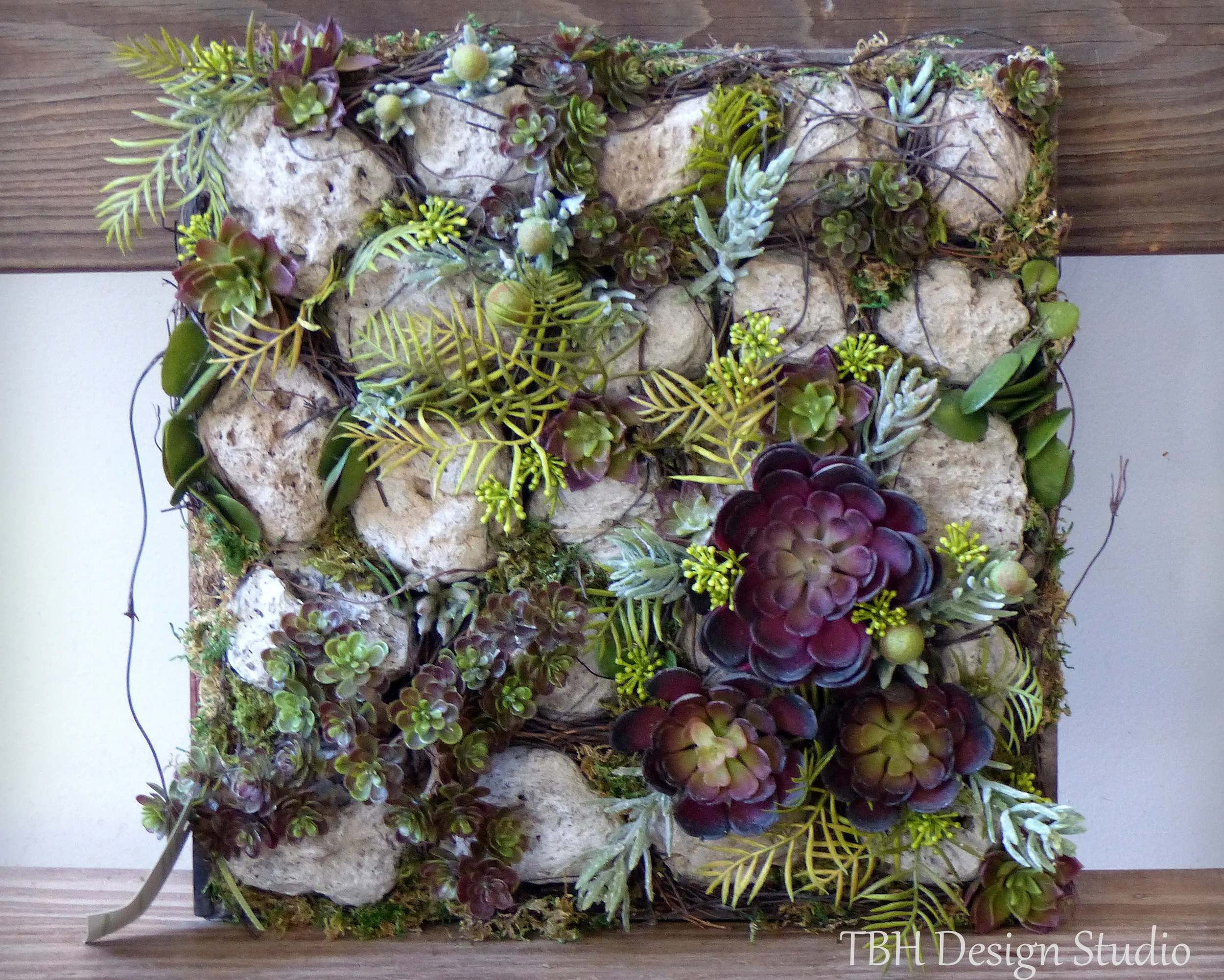 succulent garden in wood frame