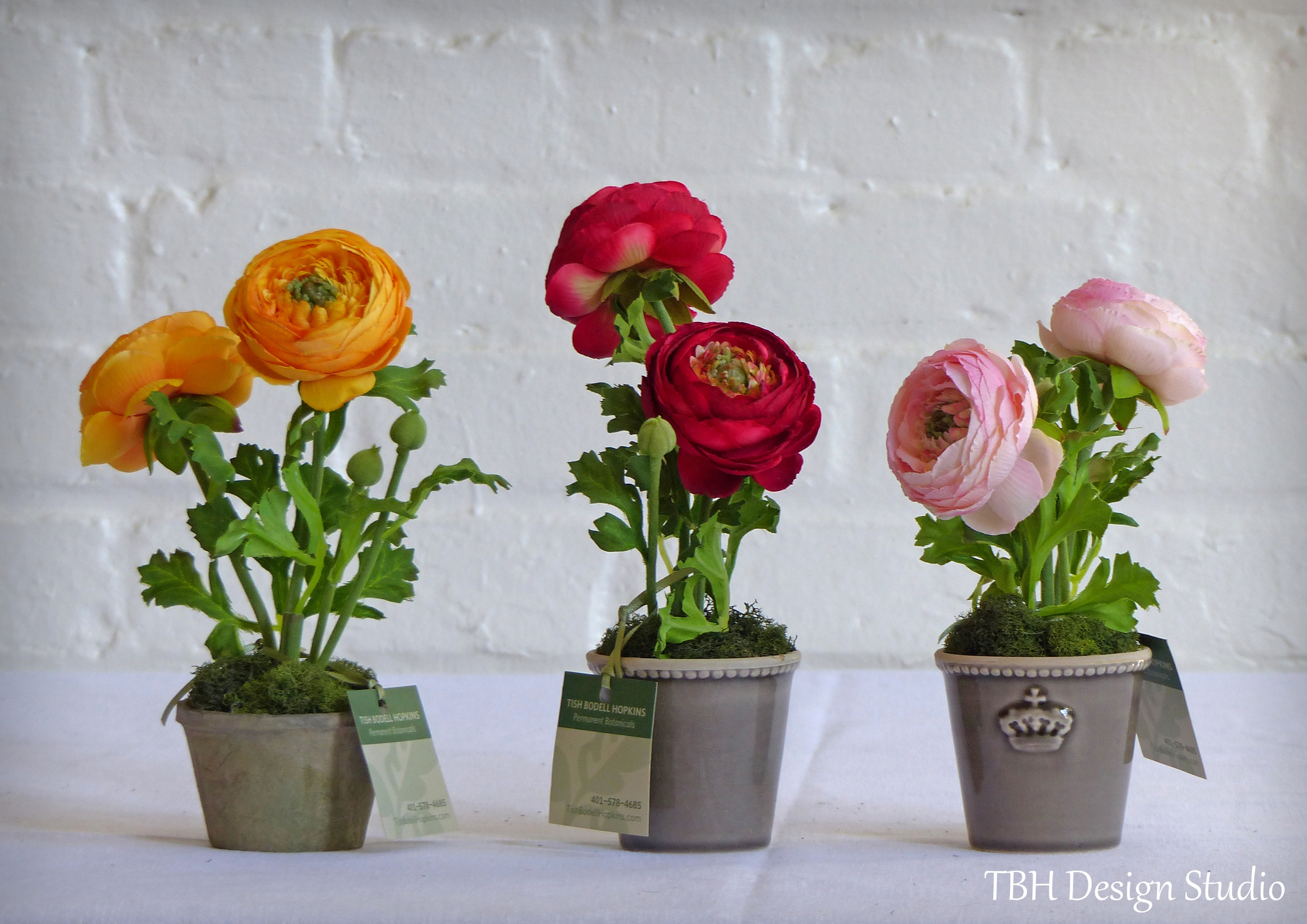 petite ranunculas vase