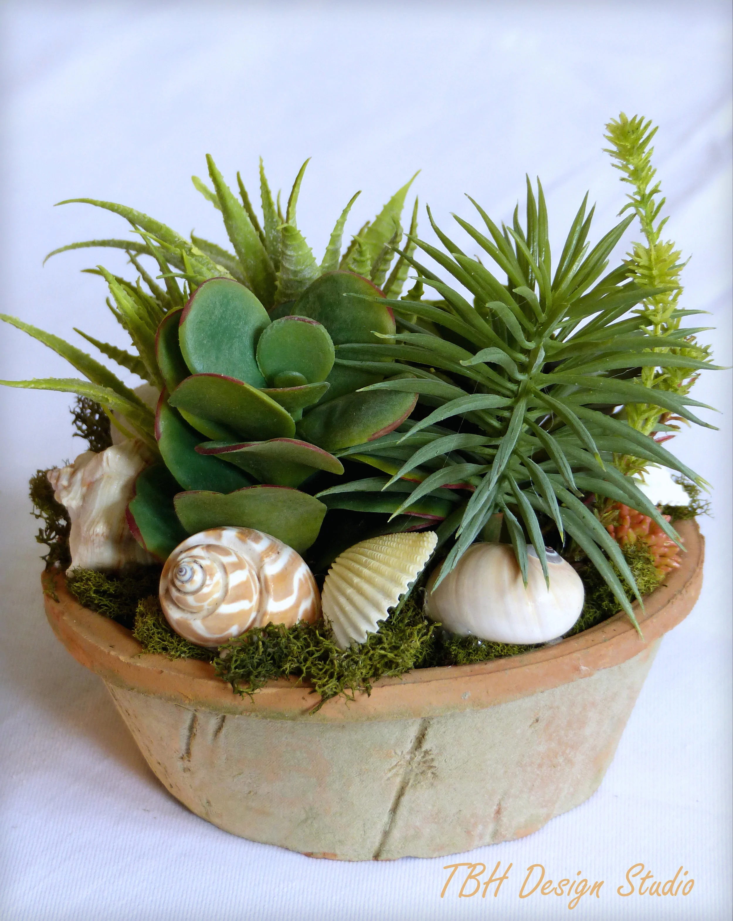 SucculentTerraCottaLOGO.jpg