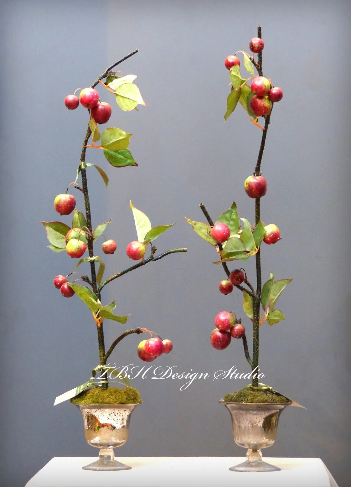 CrabAppleBranchLOGOwbsz.jpg