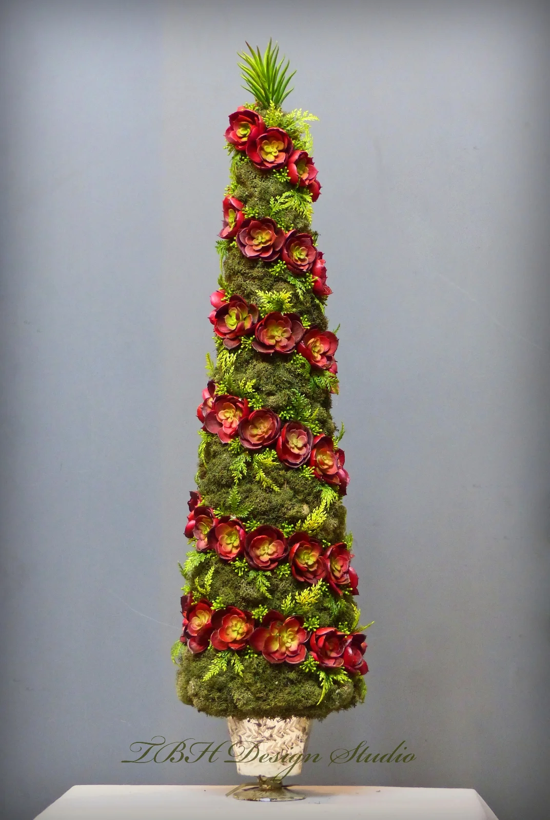 SucculentTopiaryLOGO2wbsz.jpg