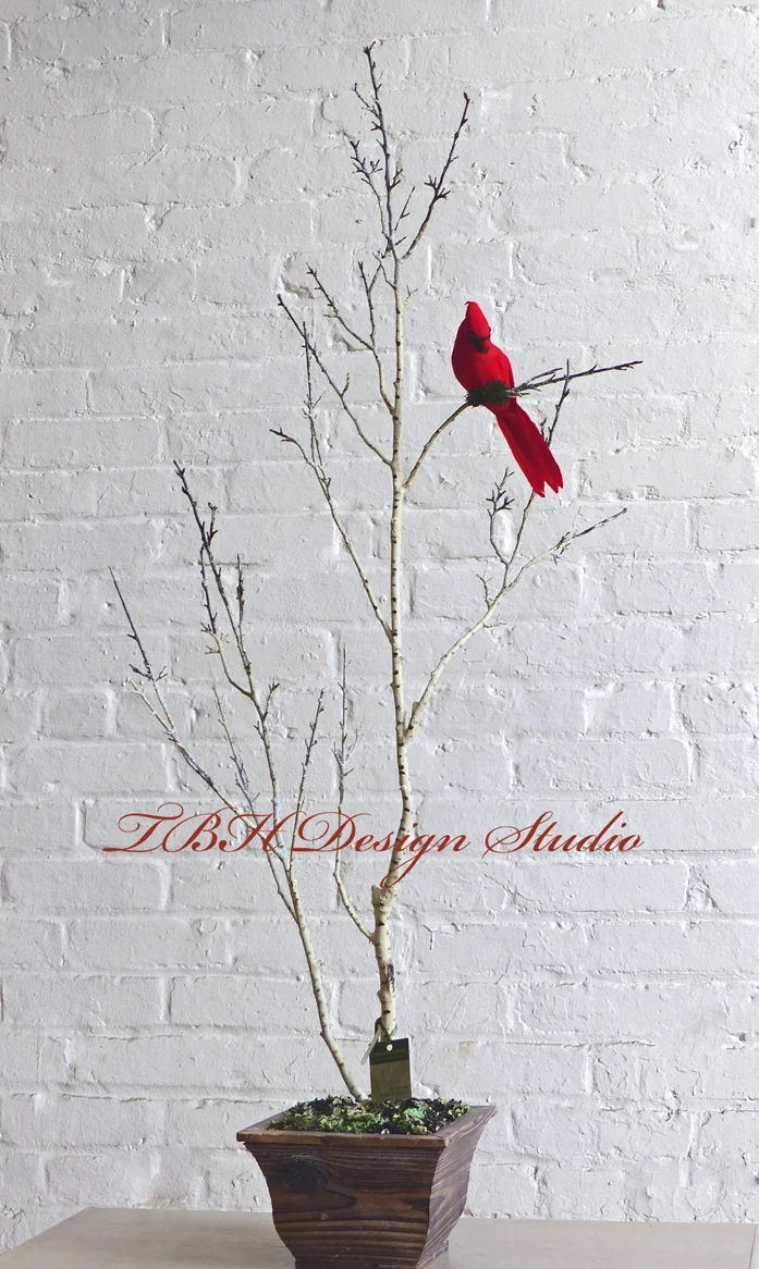 CardinalBirchLOGOwbsz.jpg