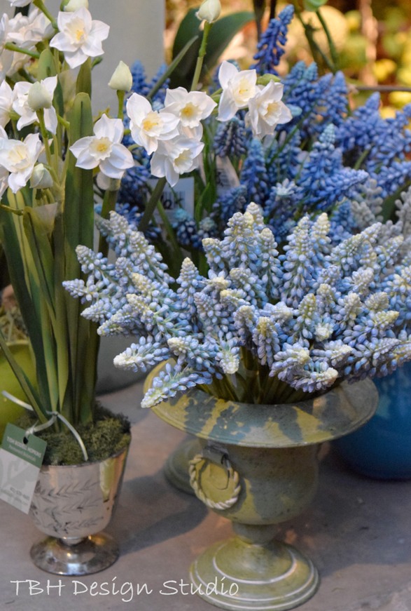 Grape Hyacinths