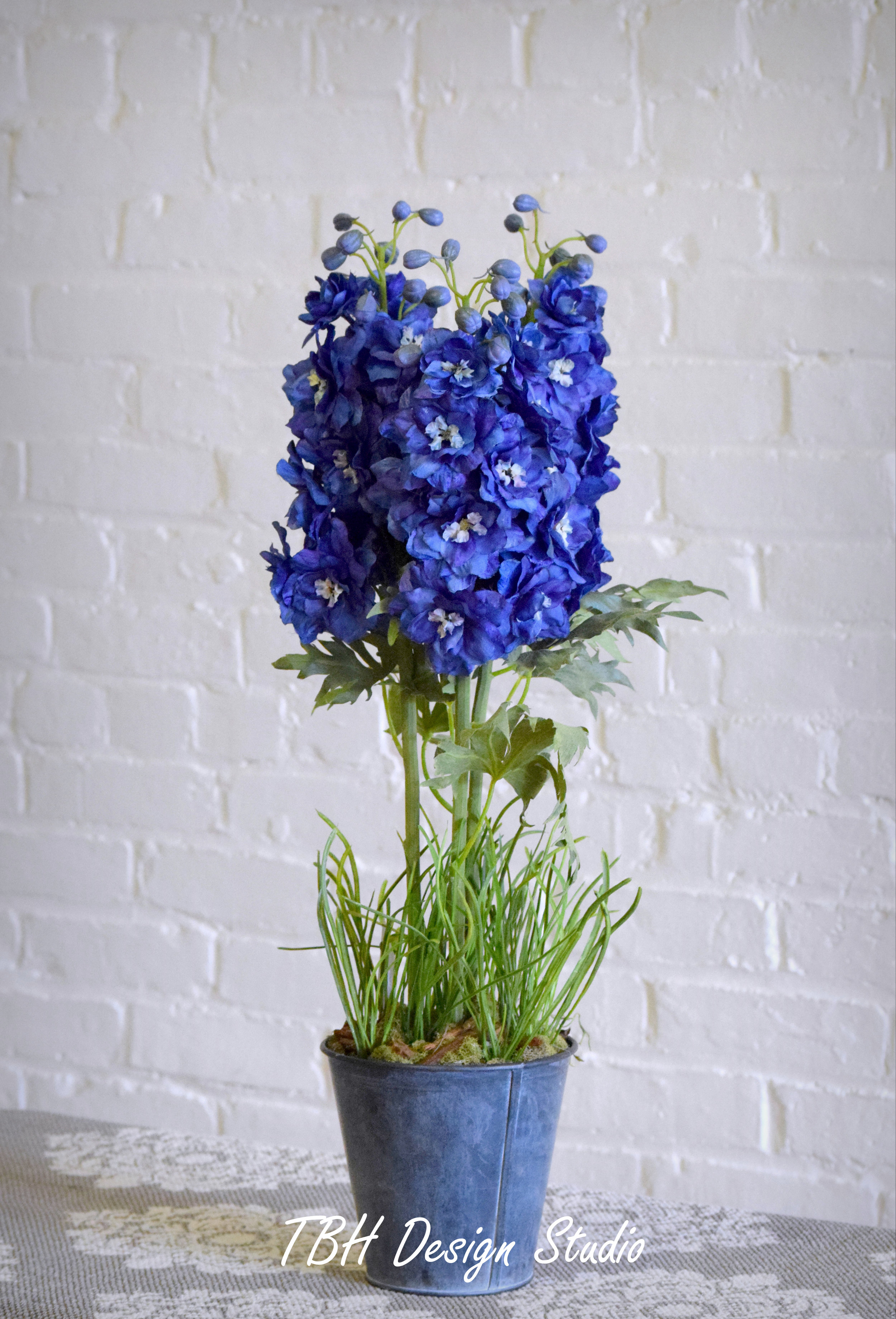 Delphinium Plant in Rustic Pot