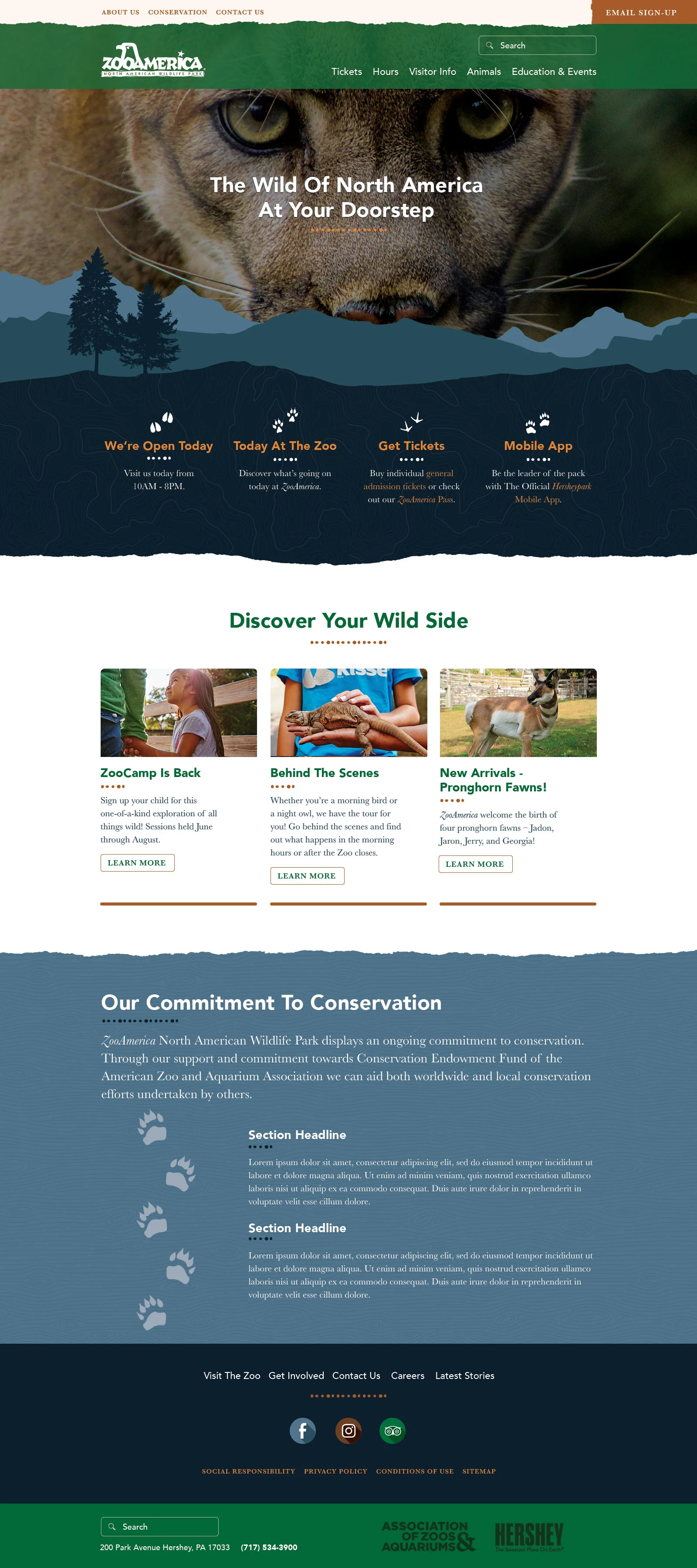 MELT_Homepage.jpg