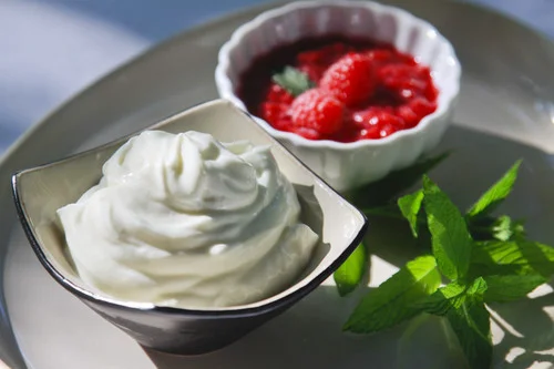 Greek Style Lowfat Yolite