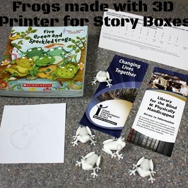 Story Boxes including twin vision books and 3D printed objects to be loaned to Iowa libraries.