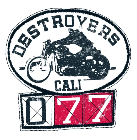 PTCH DESTROYERS_150.jpg