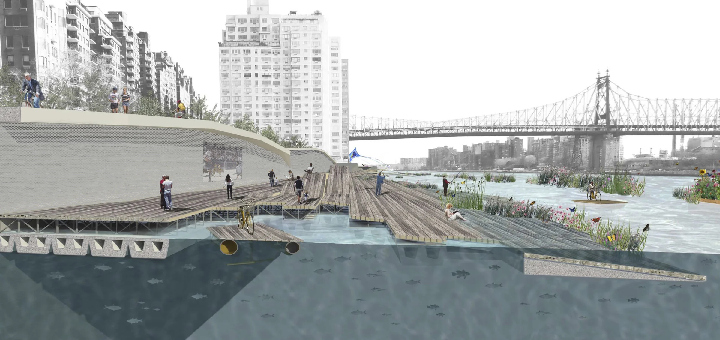 1-section perspective_11x23.jpg