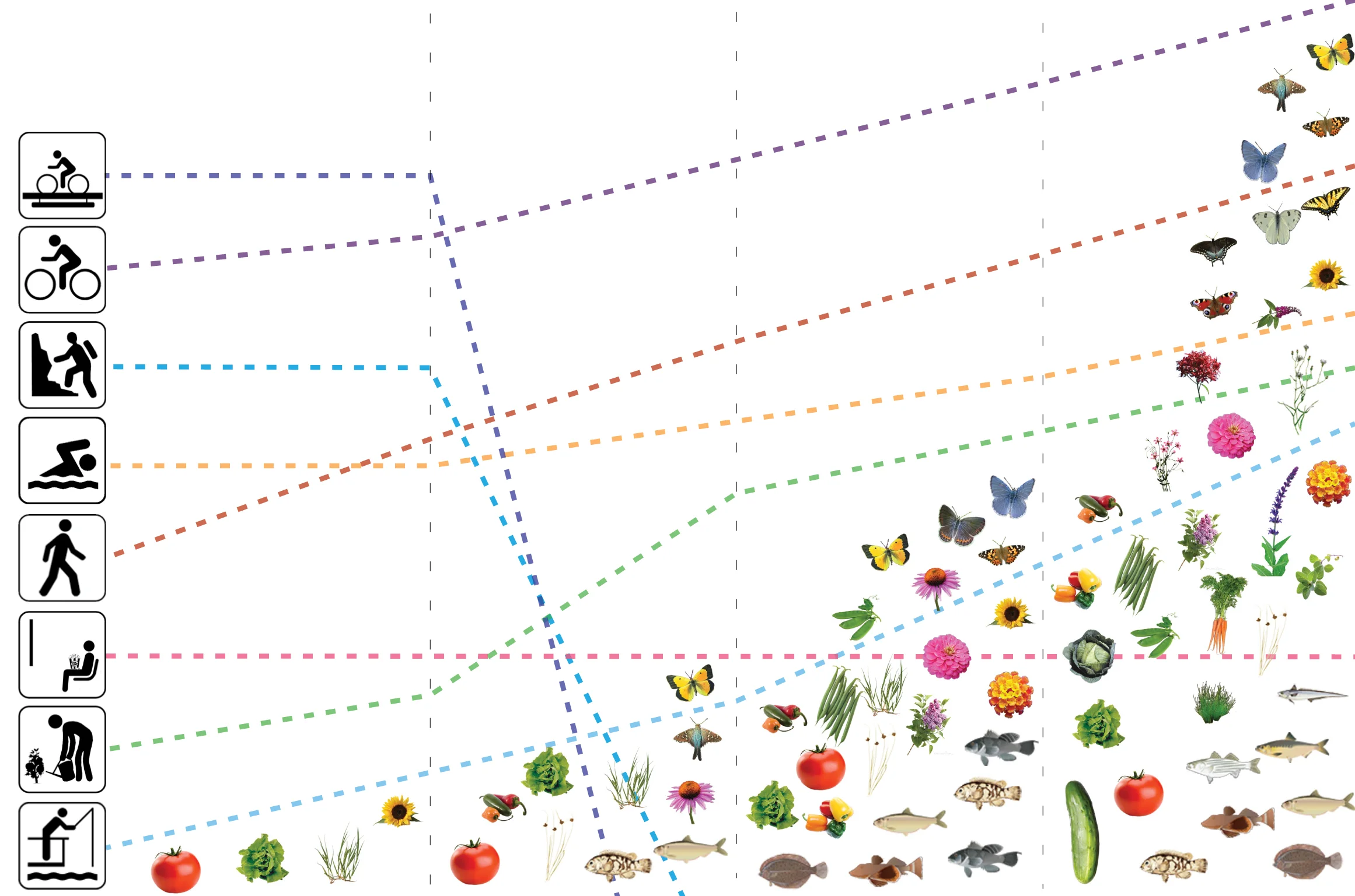 5-ecology diagram_9x6.jpg