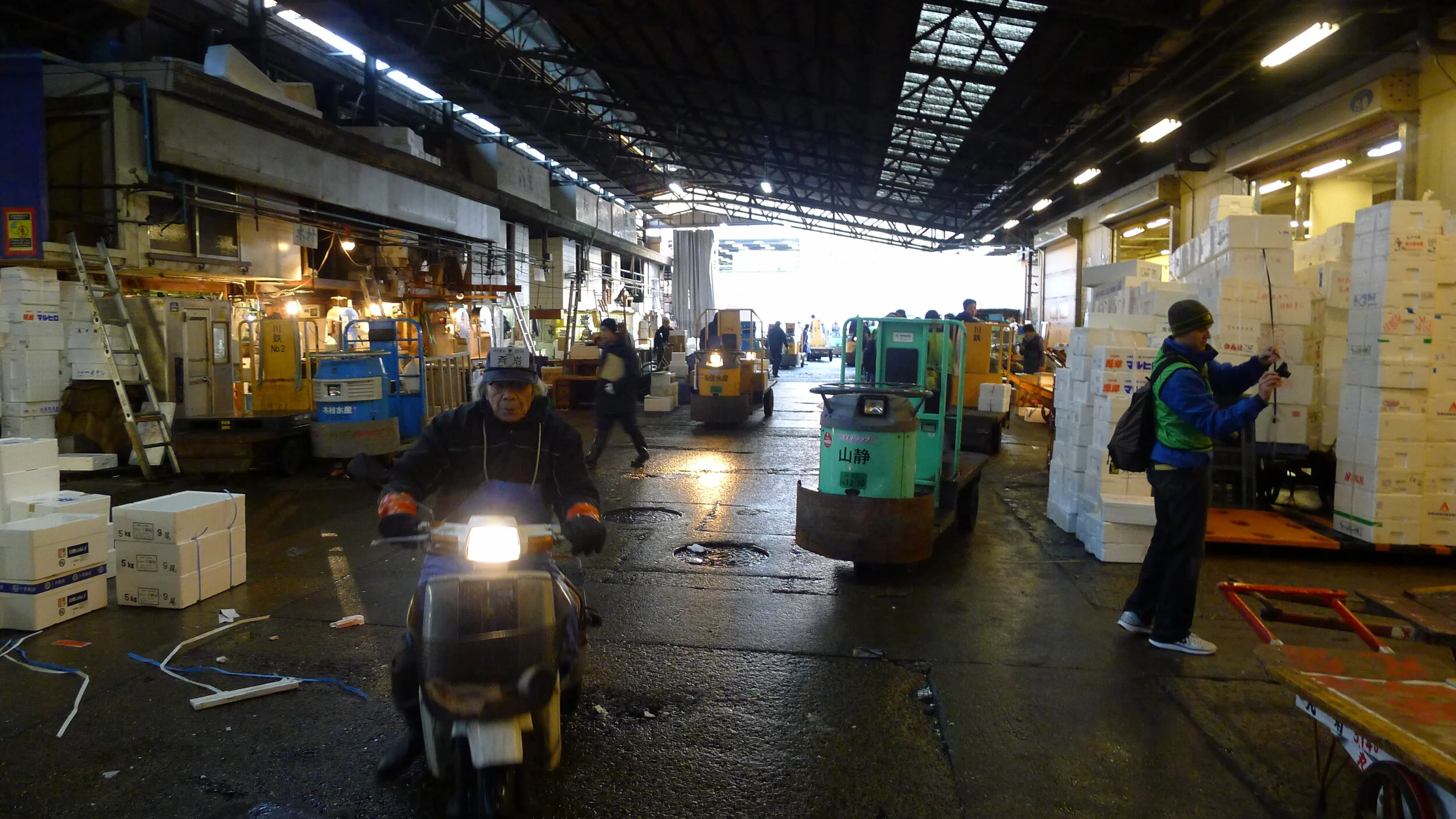 Tsukiji Fish Market | Tokyo Japan
