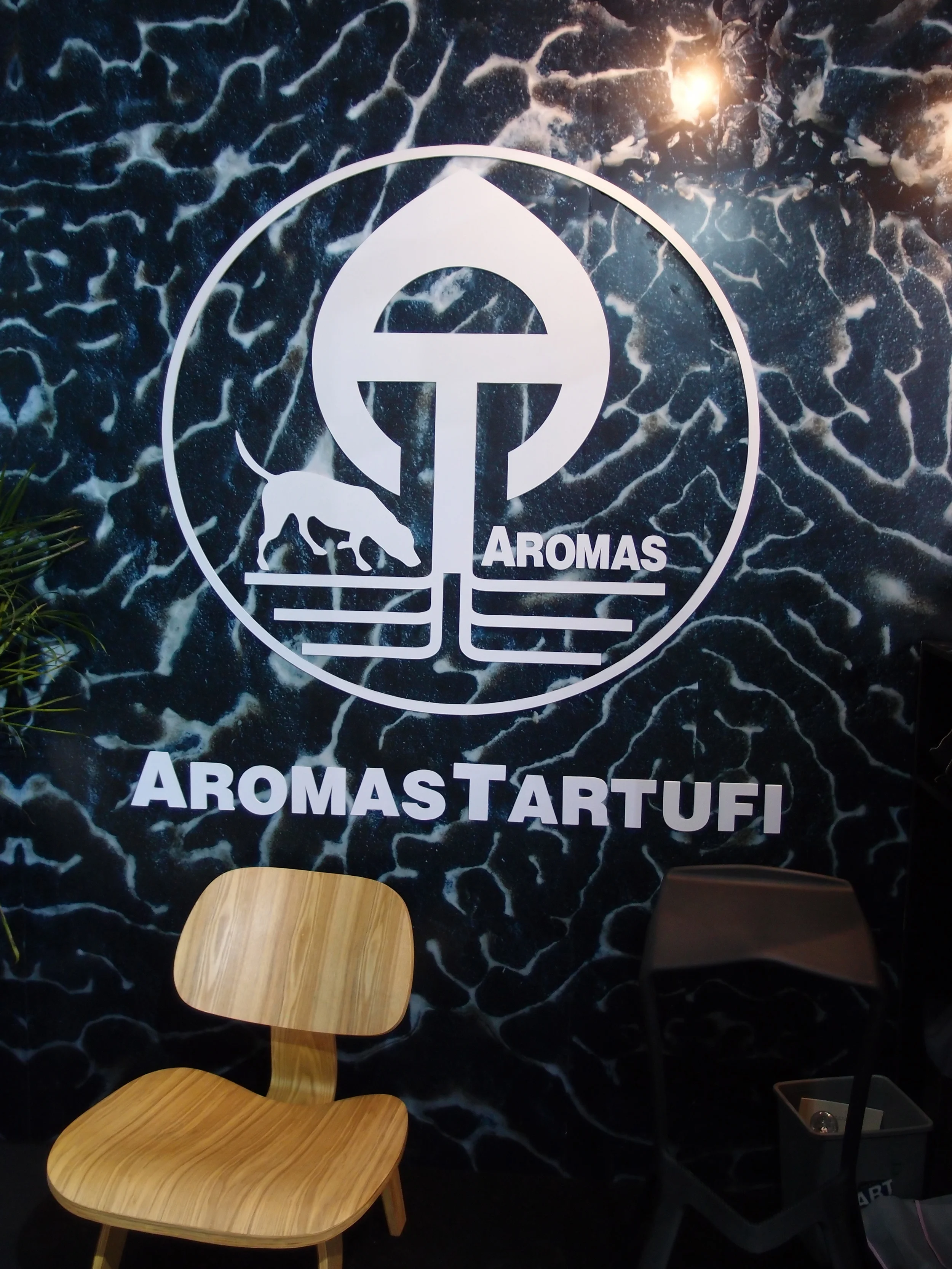 00P4261090.jpg