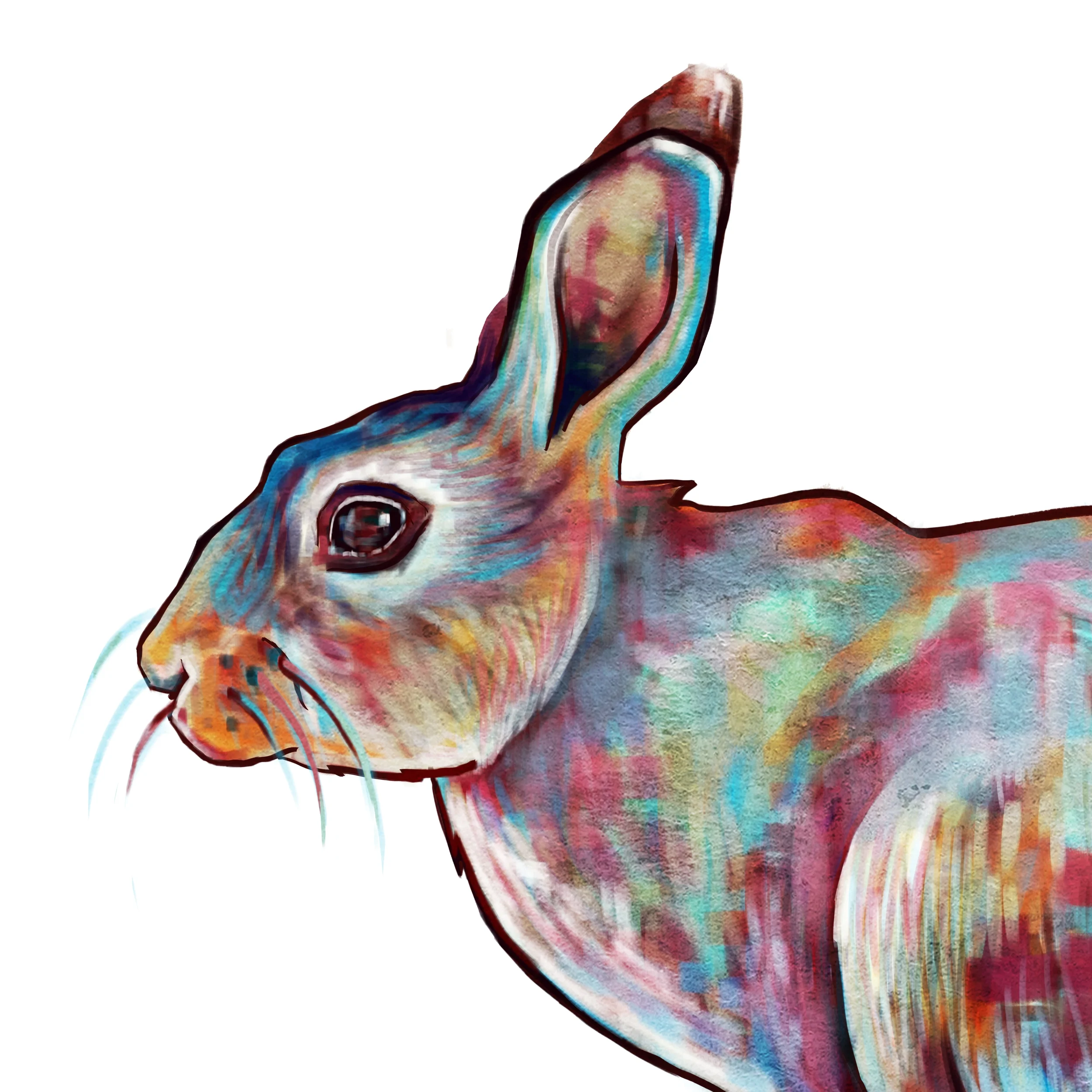 bunny.jpg
