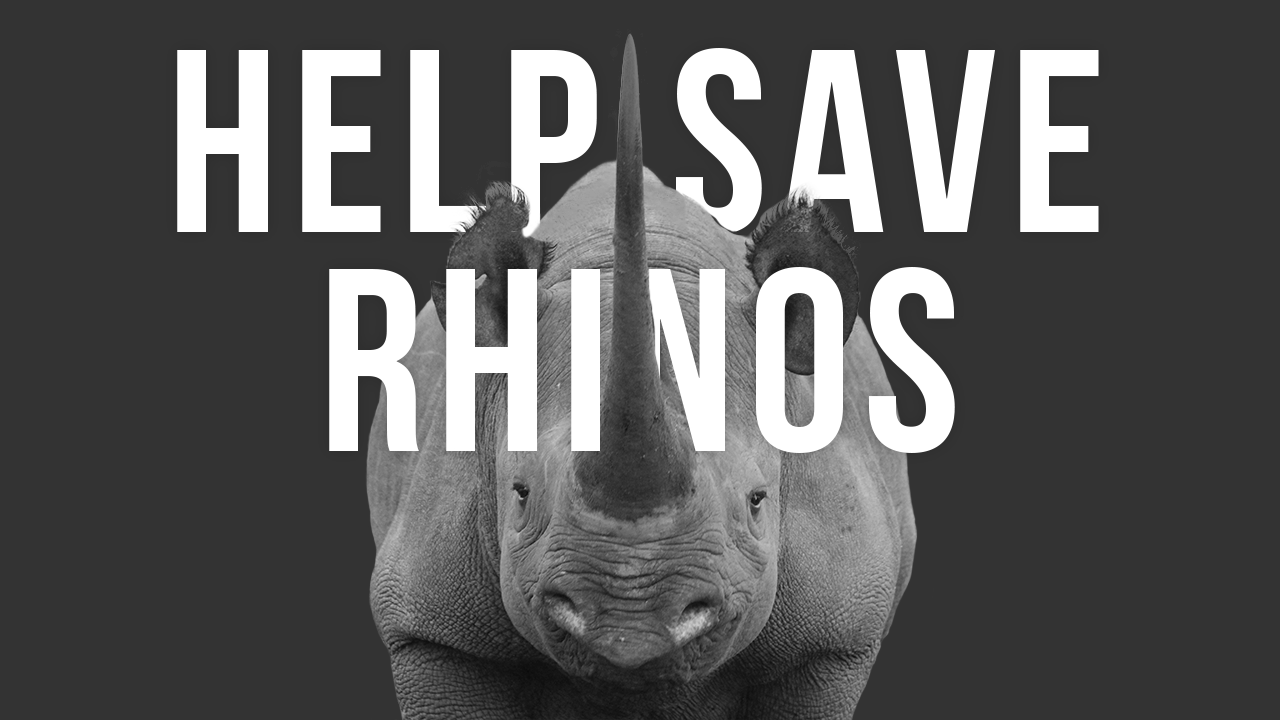 International Rhino Foundation