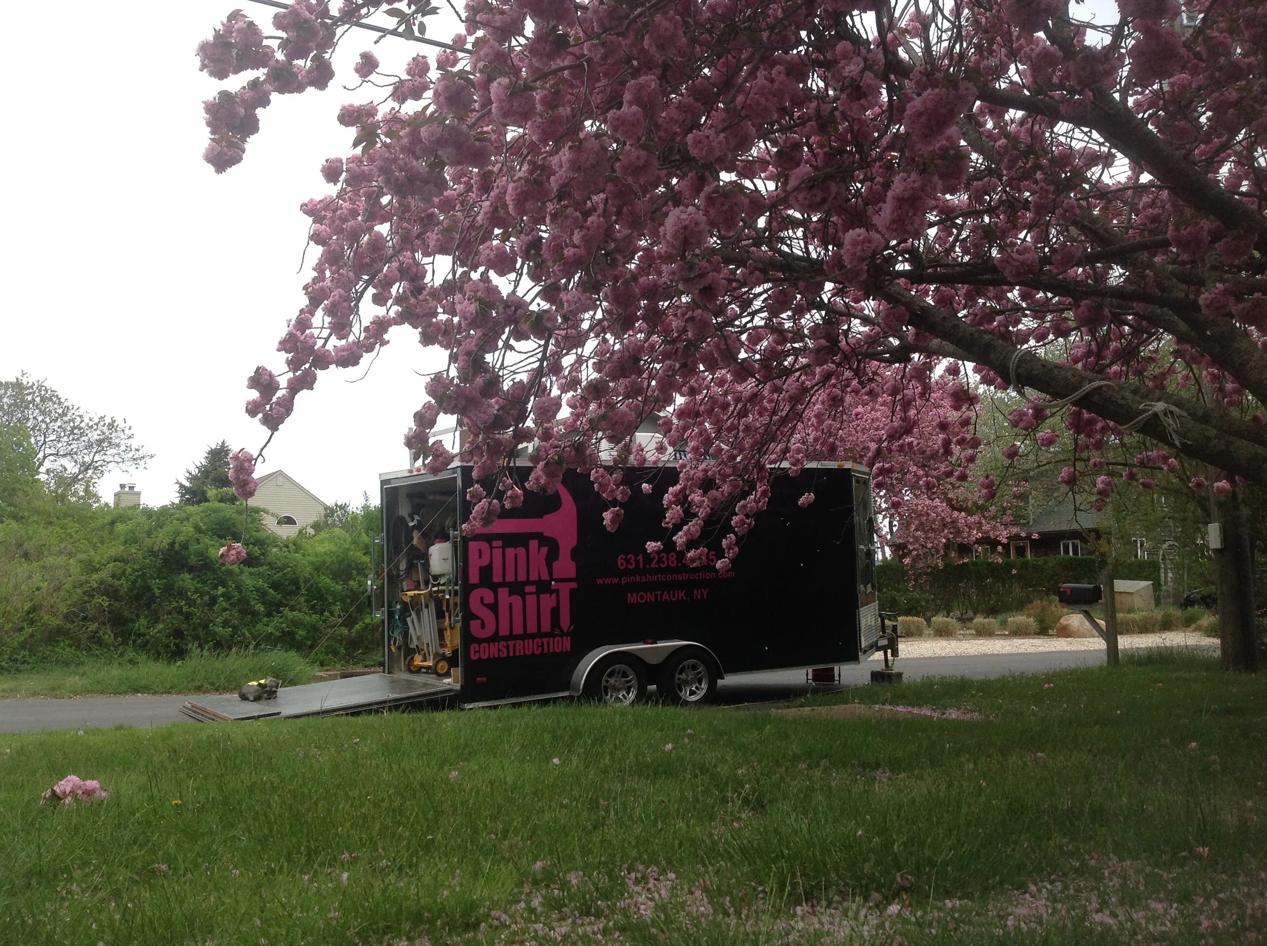 pinkshirttrucksasha.jpg