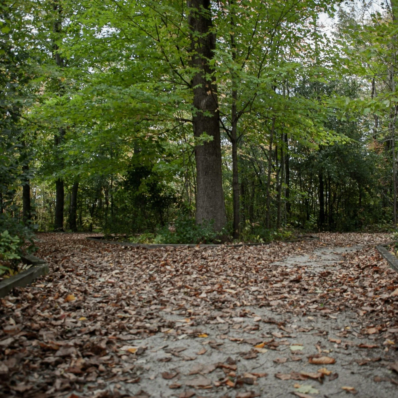 Our lives are a delicate web of connections, and healthy boundaries act as a gentle guide, helping us move through relationships with ease.

Boundaries protect our energy and nurture authentic connection by showing us what behaviors and situations fe