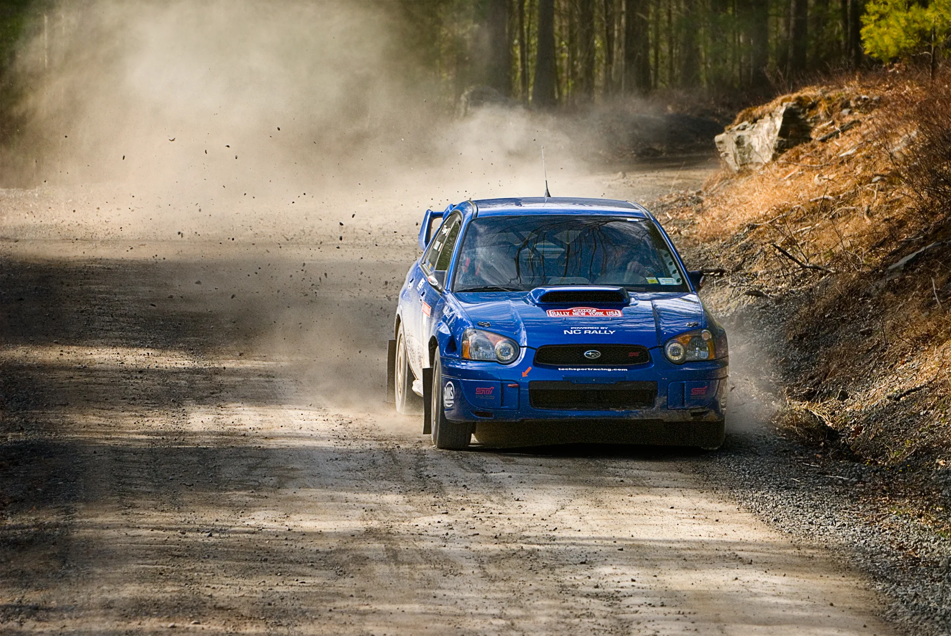 Rally-NY-Spring-07_Blue.jpg