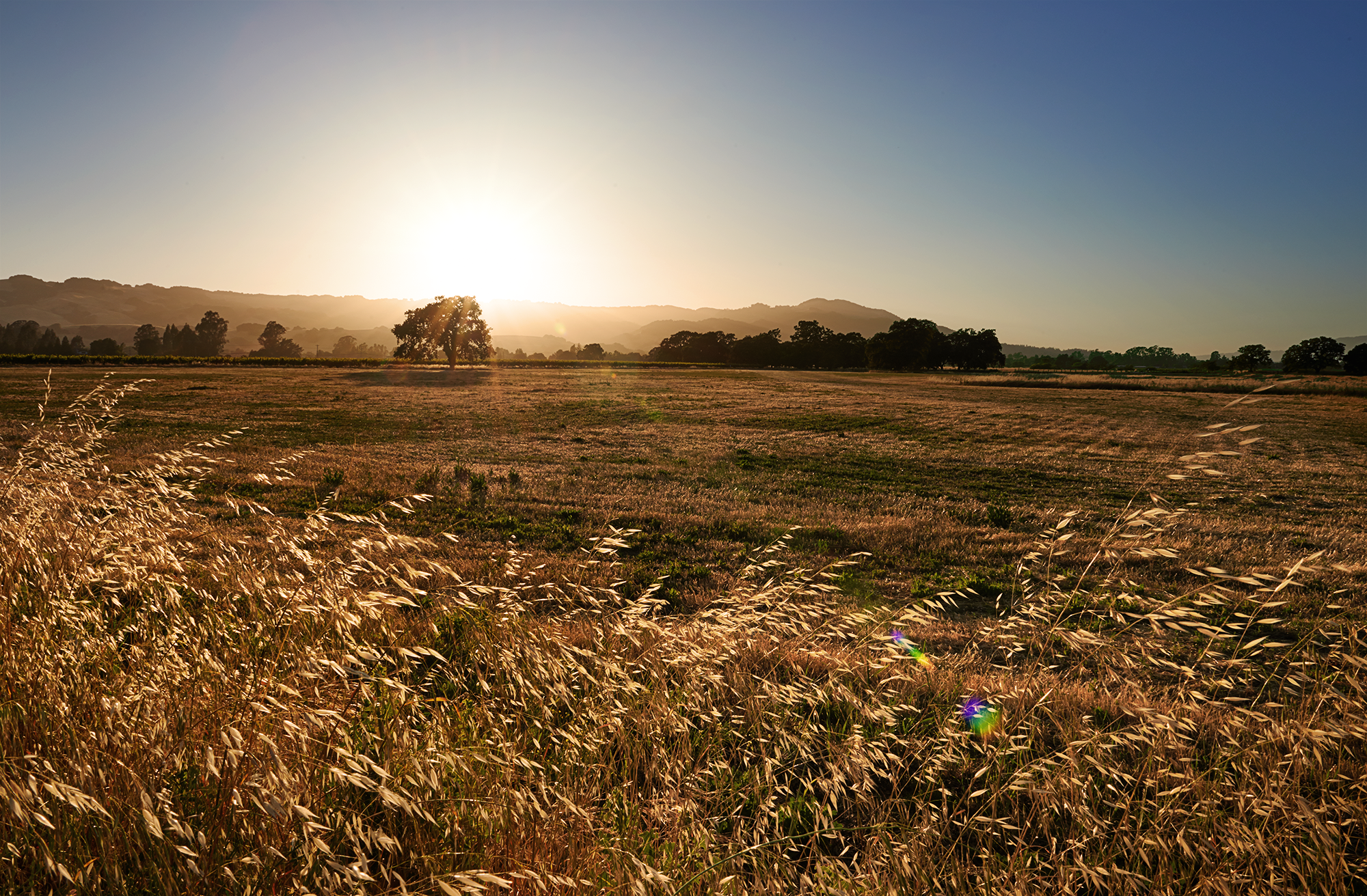 NAPA_2475.png