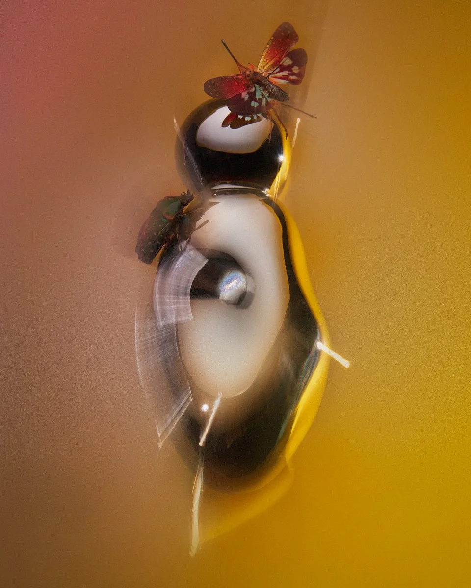02_Kylie Bug_539.jpg
