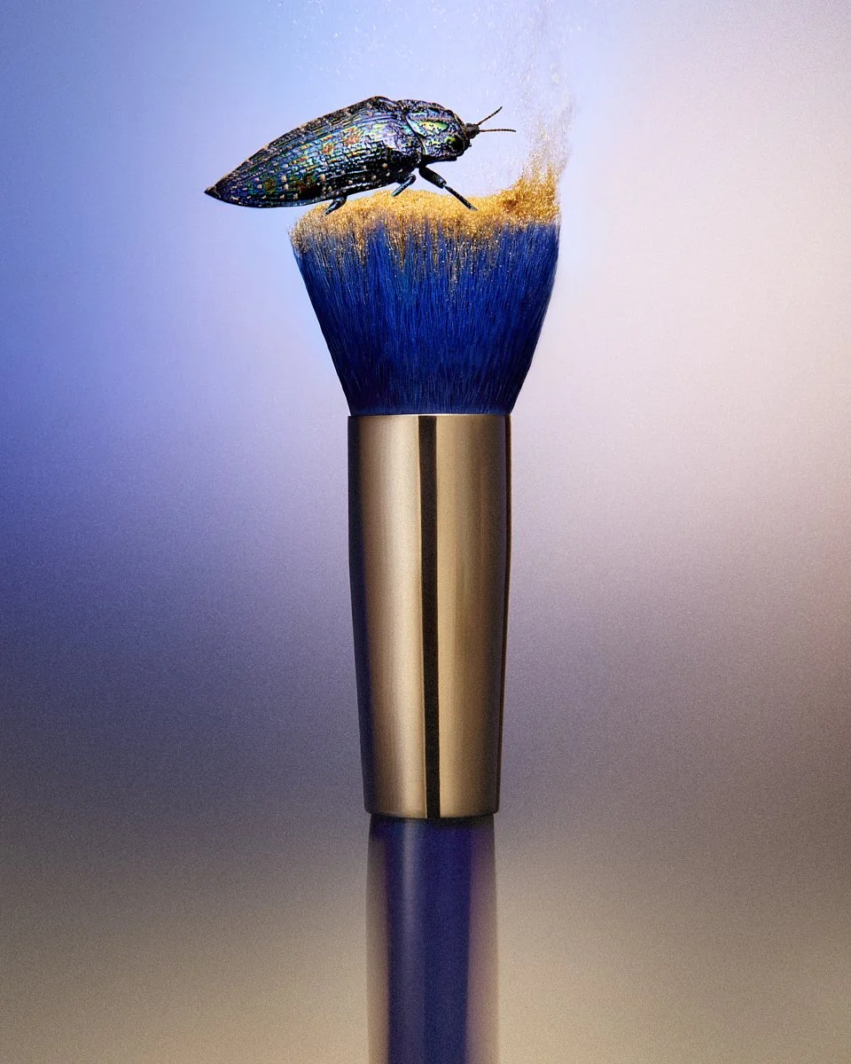 01_Brush_Hero.jpg