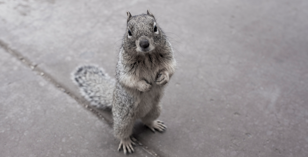 HeathSaunders 047.png