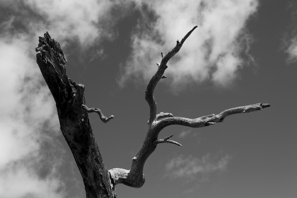 HeathSaunders 057.png