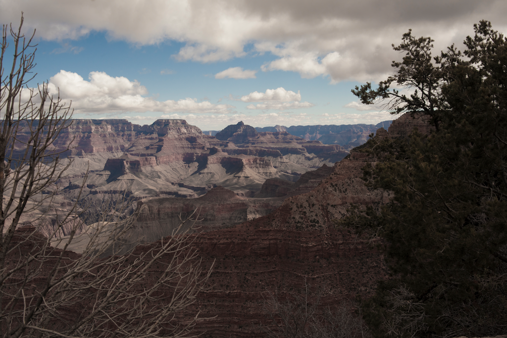 HeathSaunders 061.png