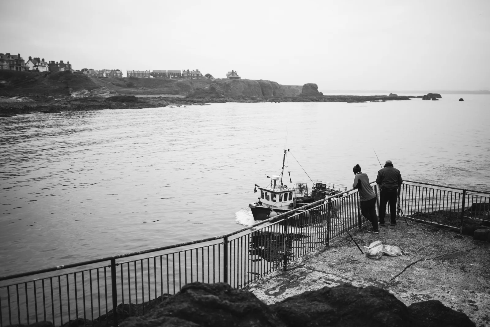 DSC_4733.jpg
