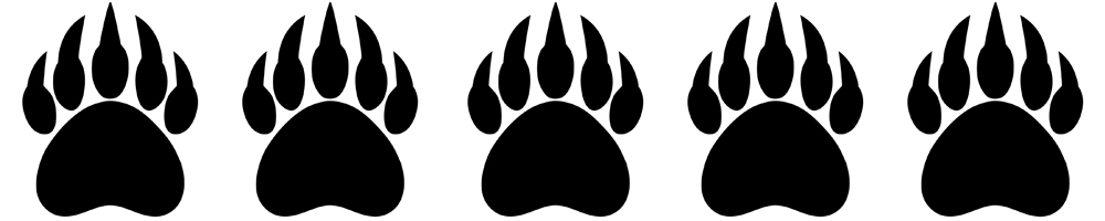 Bear Paws.jpg