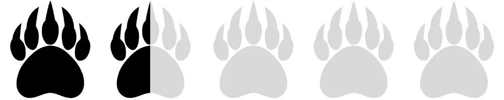 Bear Paws.jpg